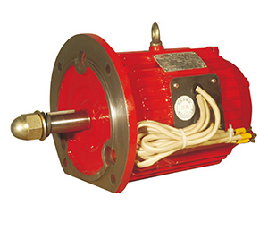 YDTXF系列消防風(fēng)機(jī)專(zhuān)用三相異步電動(dòng)機(jī)
